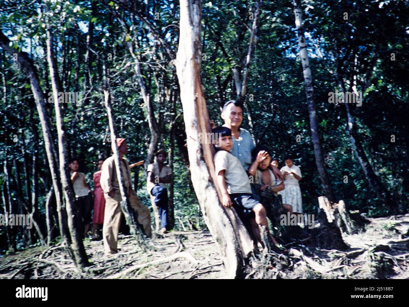 Captioned 'Amerindians' Guyana, West Indies, South America, 1960 1961 then the colony of