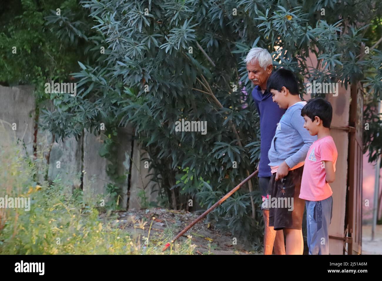 pali Rajasthan , india .November 02 ,2021.Close-up editorial photo of An Indian senior Aged man teaching two children to cut grass Stock Photo