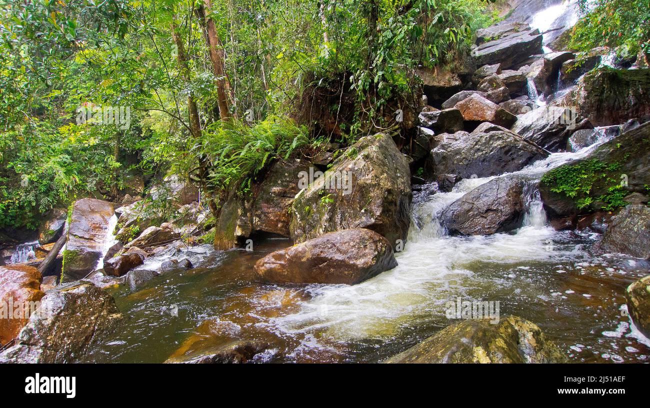 Waterfall, Sinharaja National Park Rain Forest, UNESCO World Heritage Site Biosphere Reserve, Sri Lanka, Asia Stock Photo