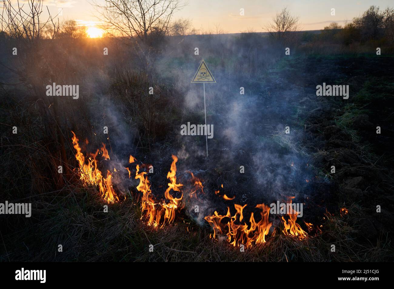 Burning dry grass and poison toxic sign. Yellow triangle with skull and