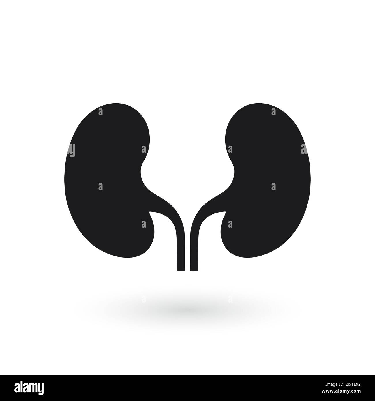 Kidney icon vector. Urology logo design template. Vector Stock Vector