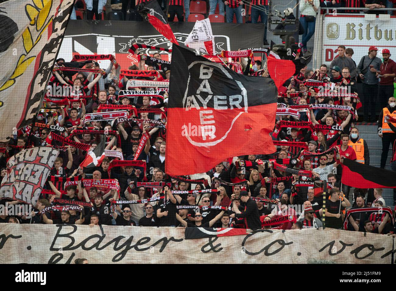 The fans of the Leverkusen wave their flags Soccer 1st Bundesliga 30th  matchday Bayer 04 Leverkusen (LEV) - RB Leipzig (L) 0: 1 on April 17th,  2022 in the Bayarena Leverkusen/ Germany. #