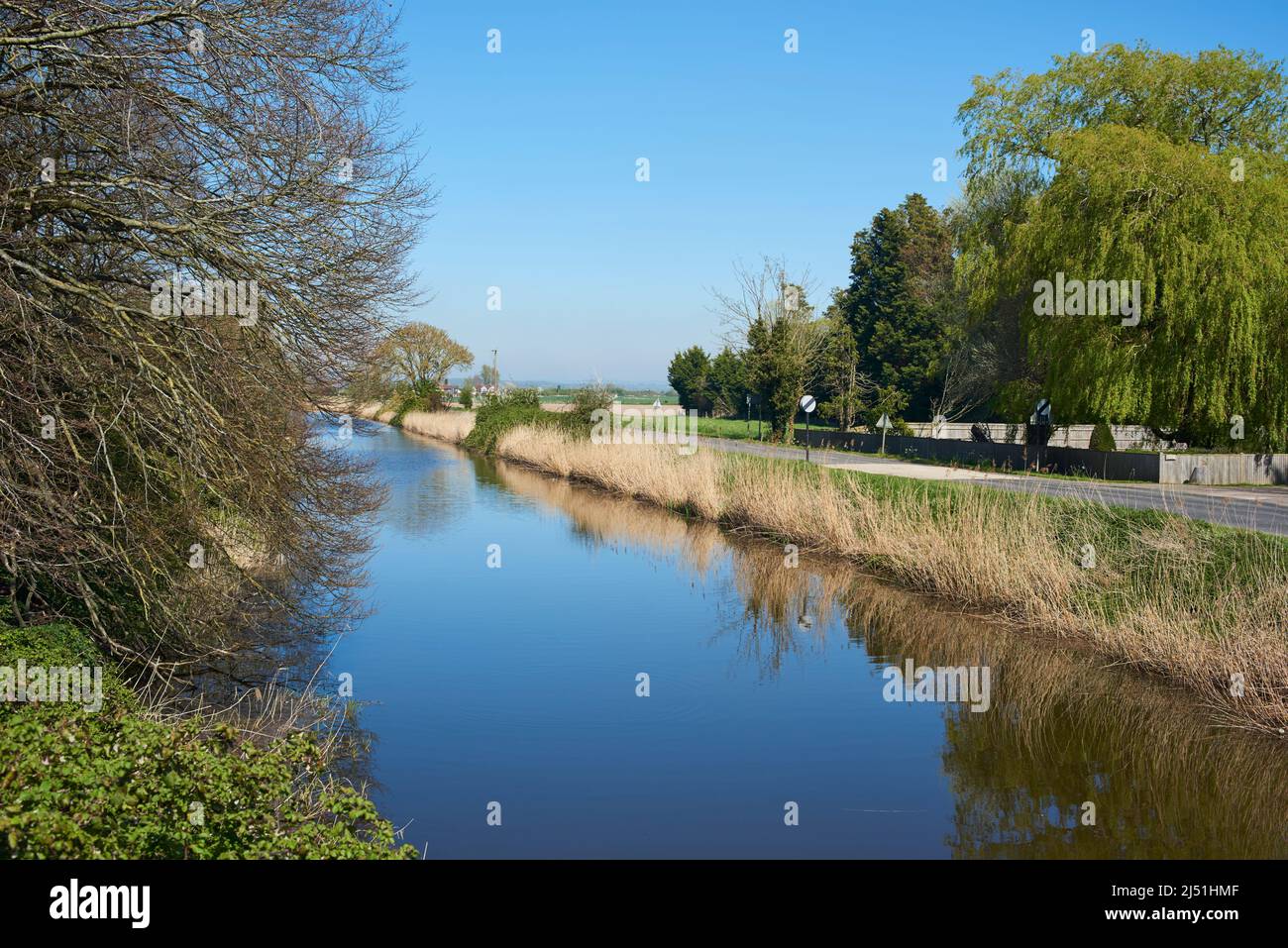 The Royal Military Canal in springtime near Appledore, Kent, South East England, on the edge of Romney Marsh Stock Photo