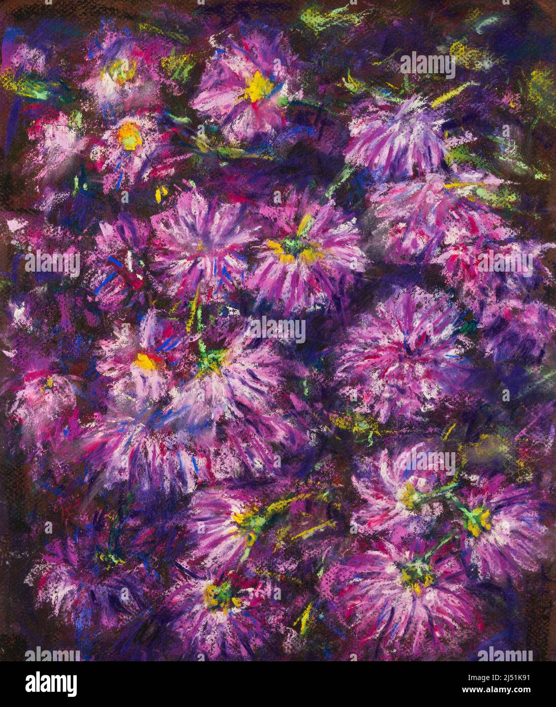 Beautiful drawing of purple chrysanthemum flowers in sketchbook on