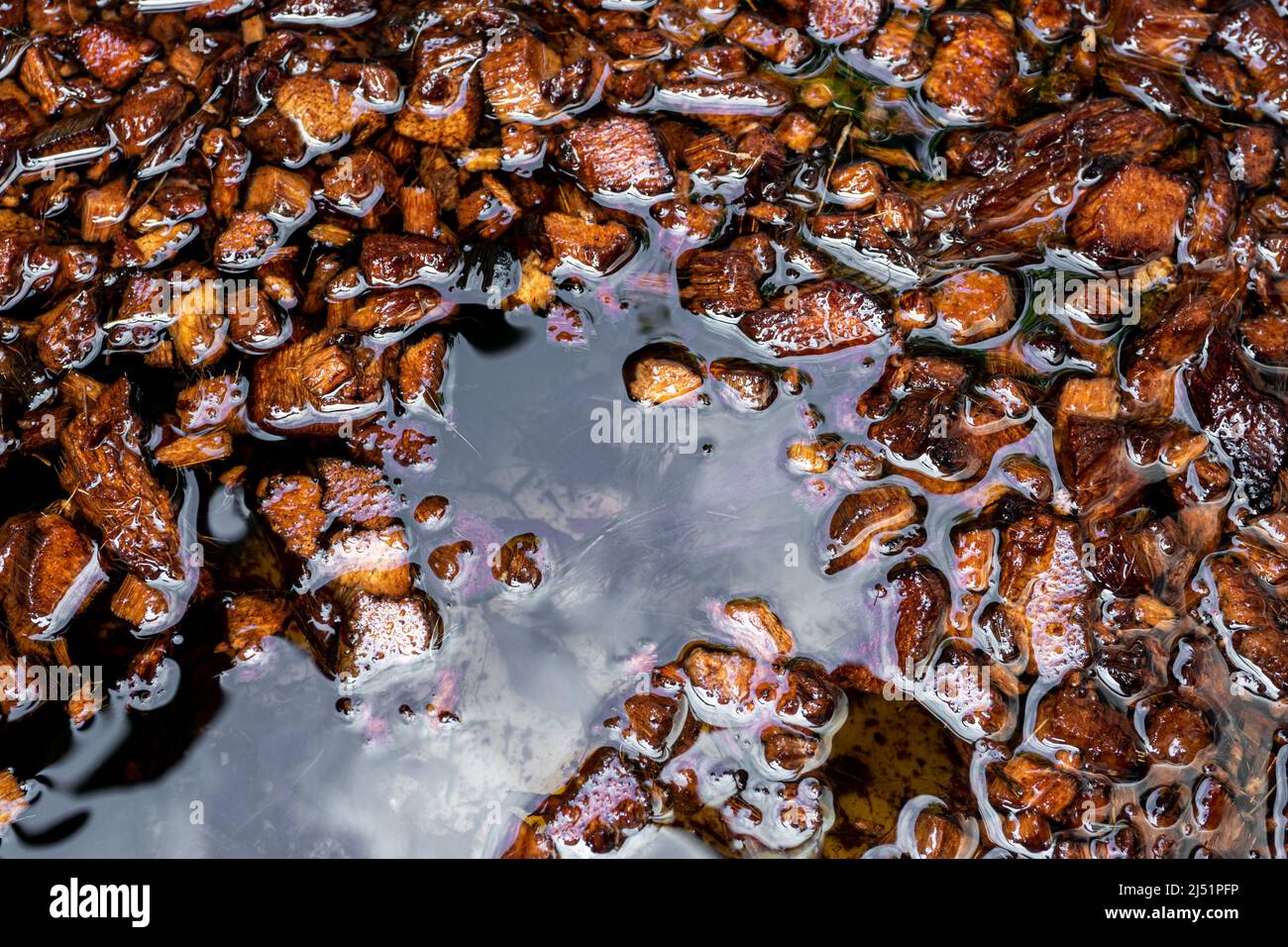 Chopped coconut husks soaked in water to prepare for use as planting