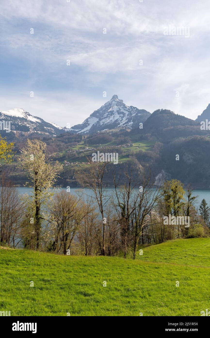 Walensee Spring Weesen, Switzerland, April 13, 2022 Fascinating view over the lake ...