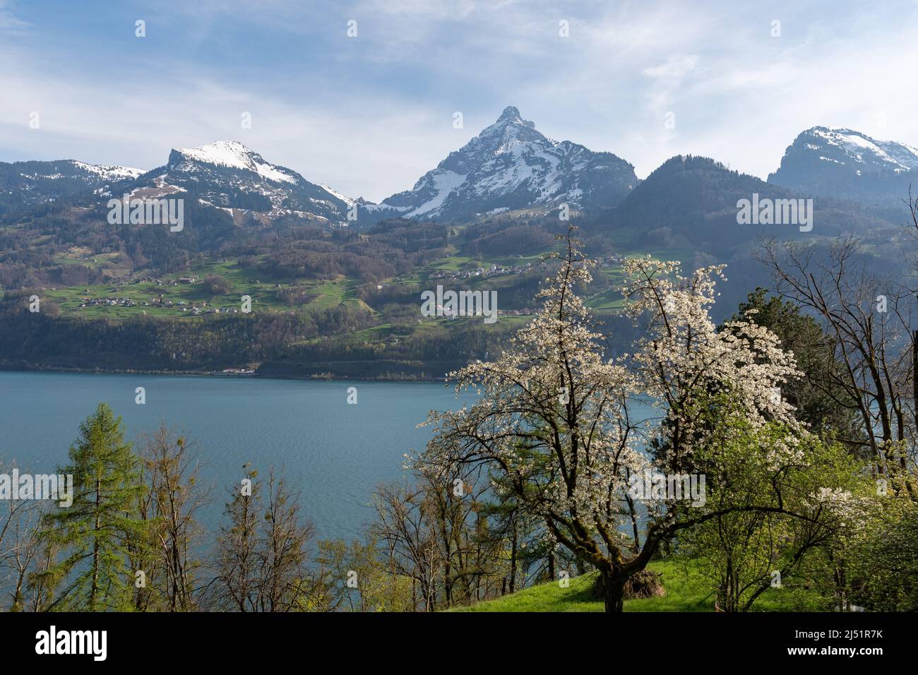 Walensee Spring Weesen, Switzerland, April 13, 2022 Fascinating view over the lake ...