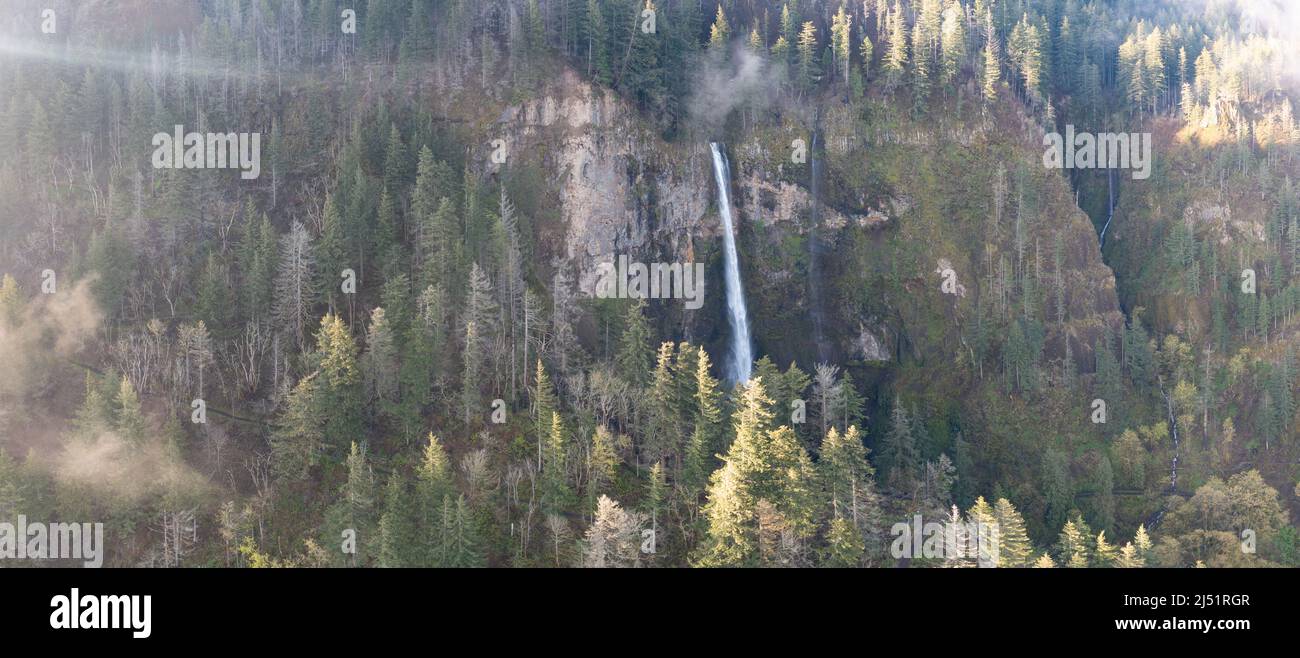 A scenic waterfall plunges over 500 feet from a cliff into the Columbia River Gorge, Oregon. Forests and rivers predominate in this PNW region. Stock Photo
