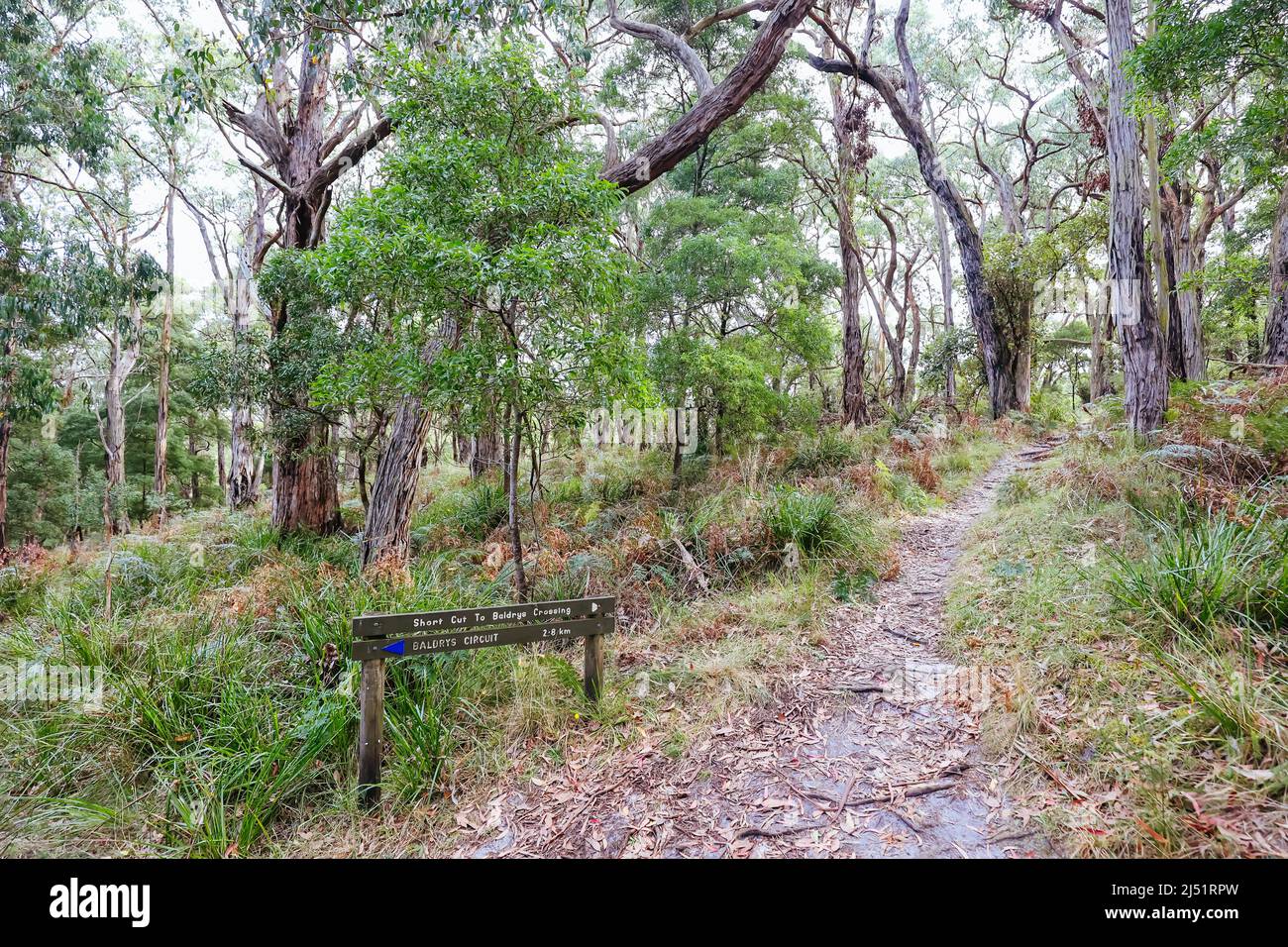 Two Bays Walking Track in Australia Stock Photo Alamy