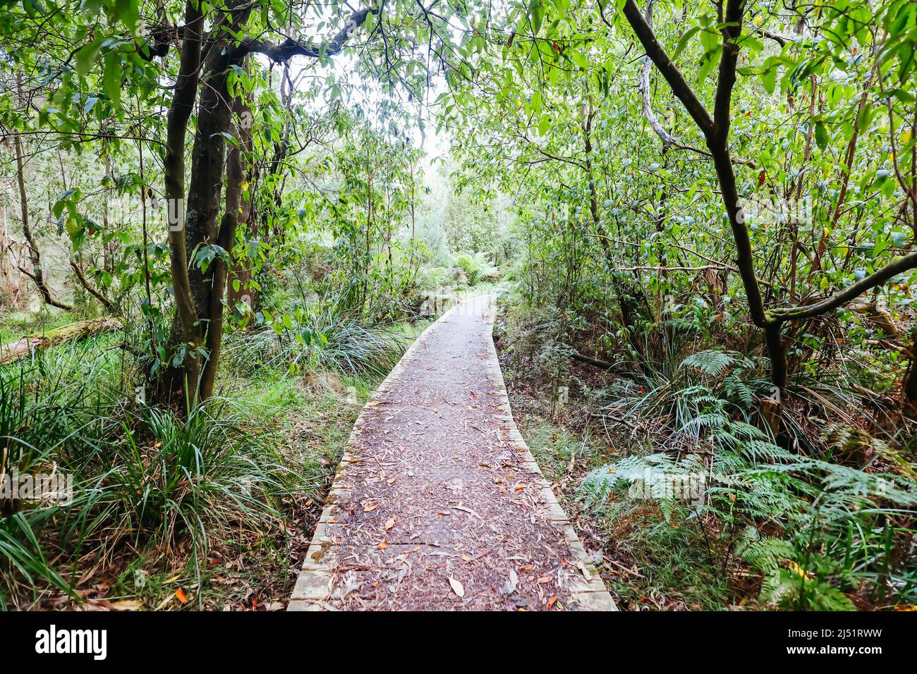 Two Bays Walking Track in Australia Stock Photo - Alamy