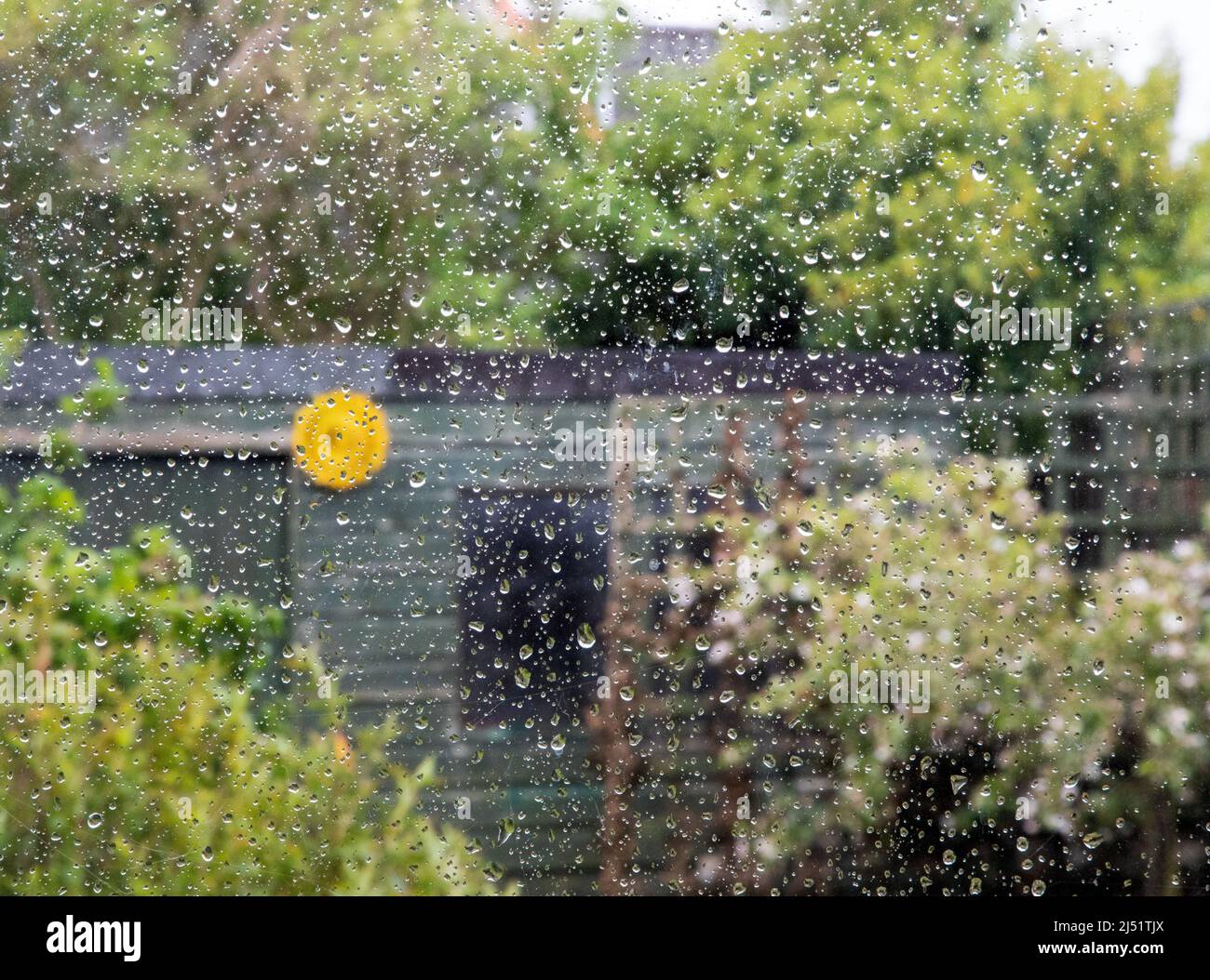 Rain drops on a window. Stock Photo