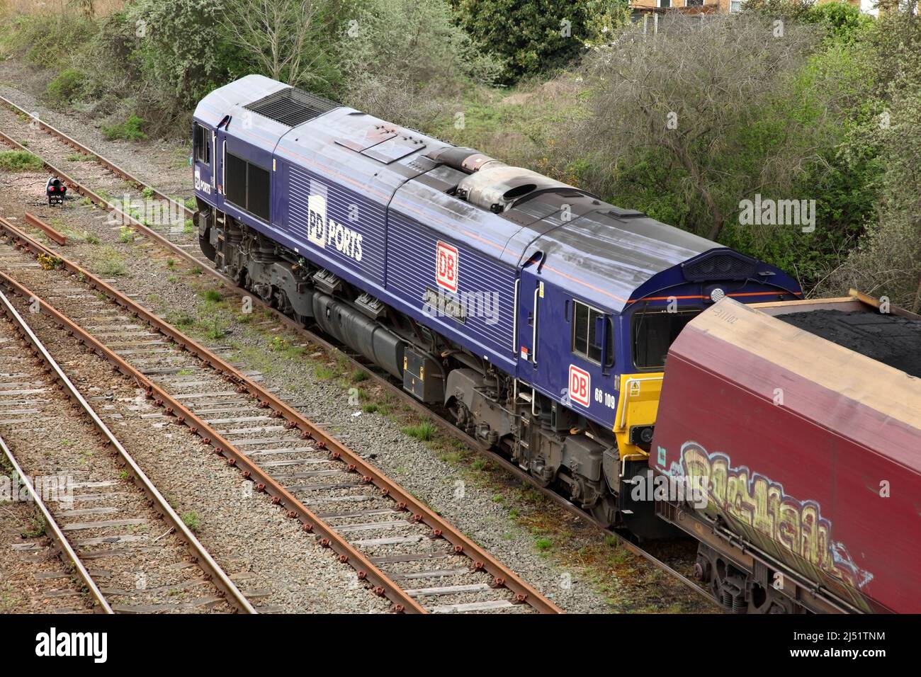 DB Cargo Class 66 loco 66109 waits at Scunthorpe with a loaded coal train on 19/4/22. Stock Photo
