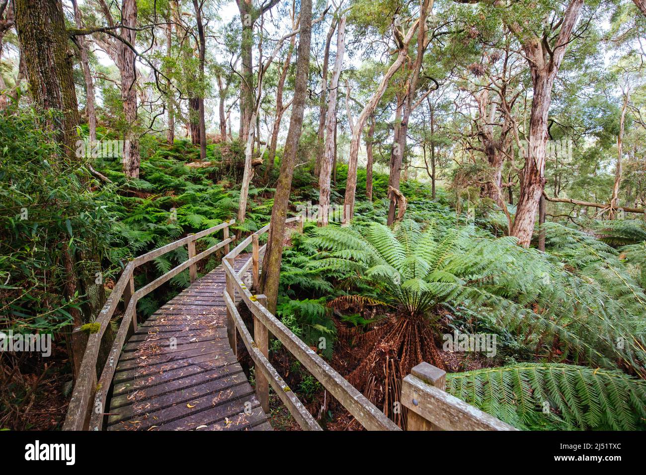 Two Bays Walking Track in Australia Stock Photo - Alamy