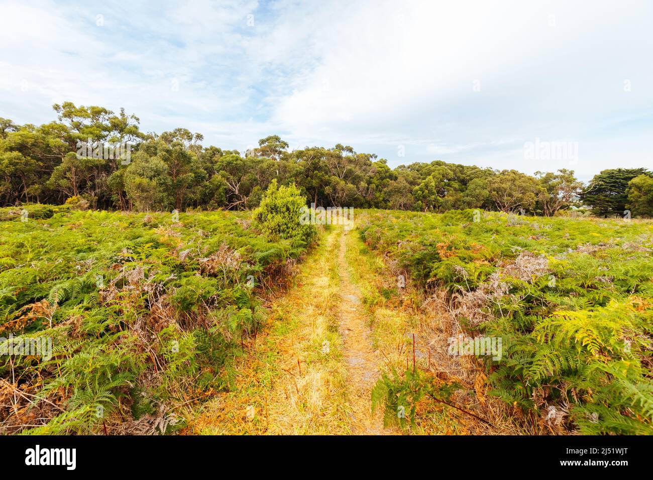 Two Bays Walking Track in Australia Stock Photo - Alamy