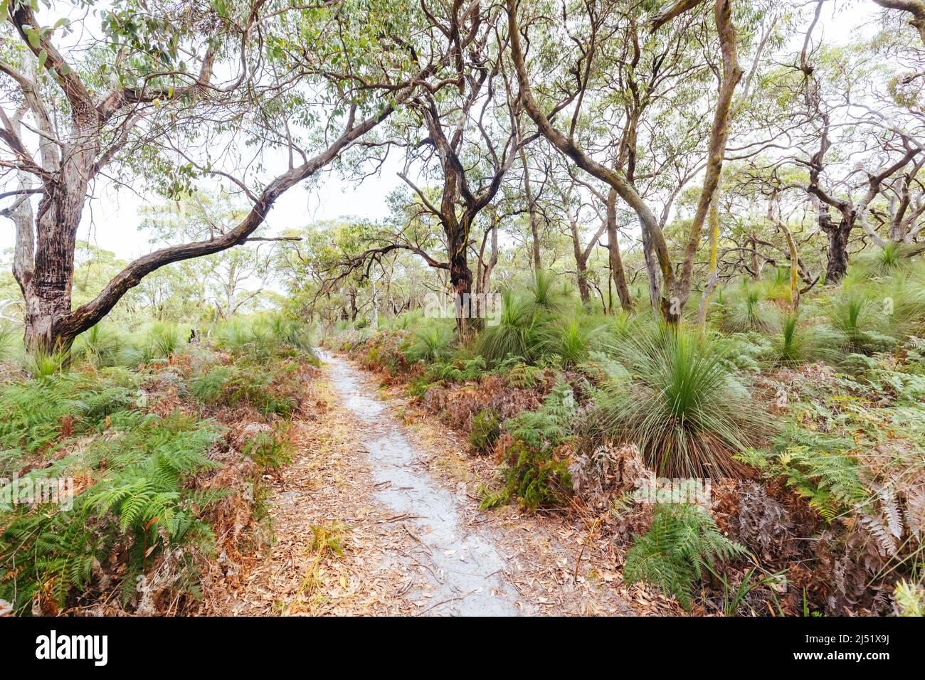 Two Bays Walking Track in Australia Stock Photo Alamy