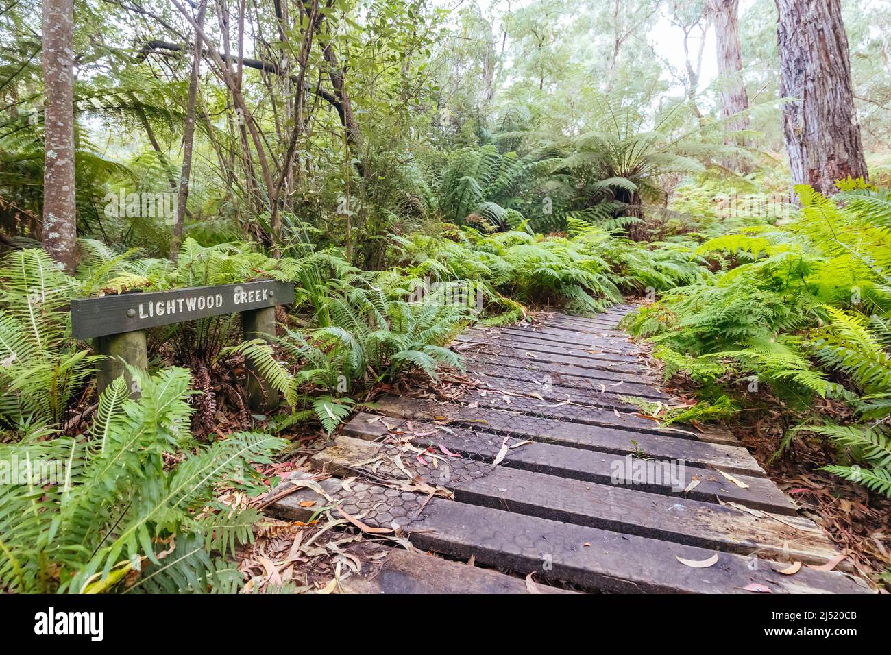 Two Bays Walking Track in Australia Stock Photo Alamy