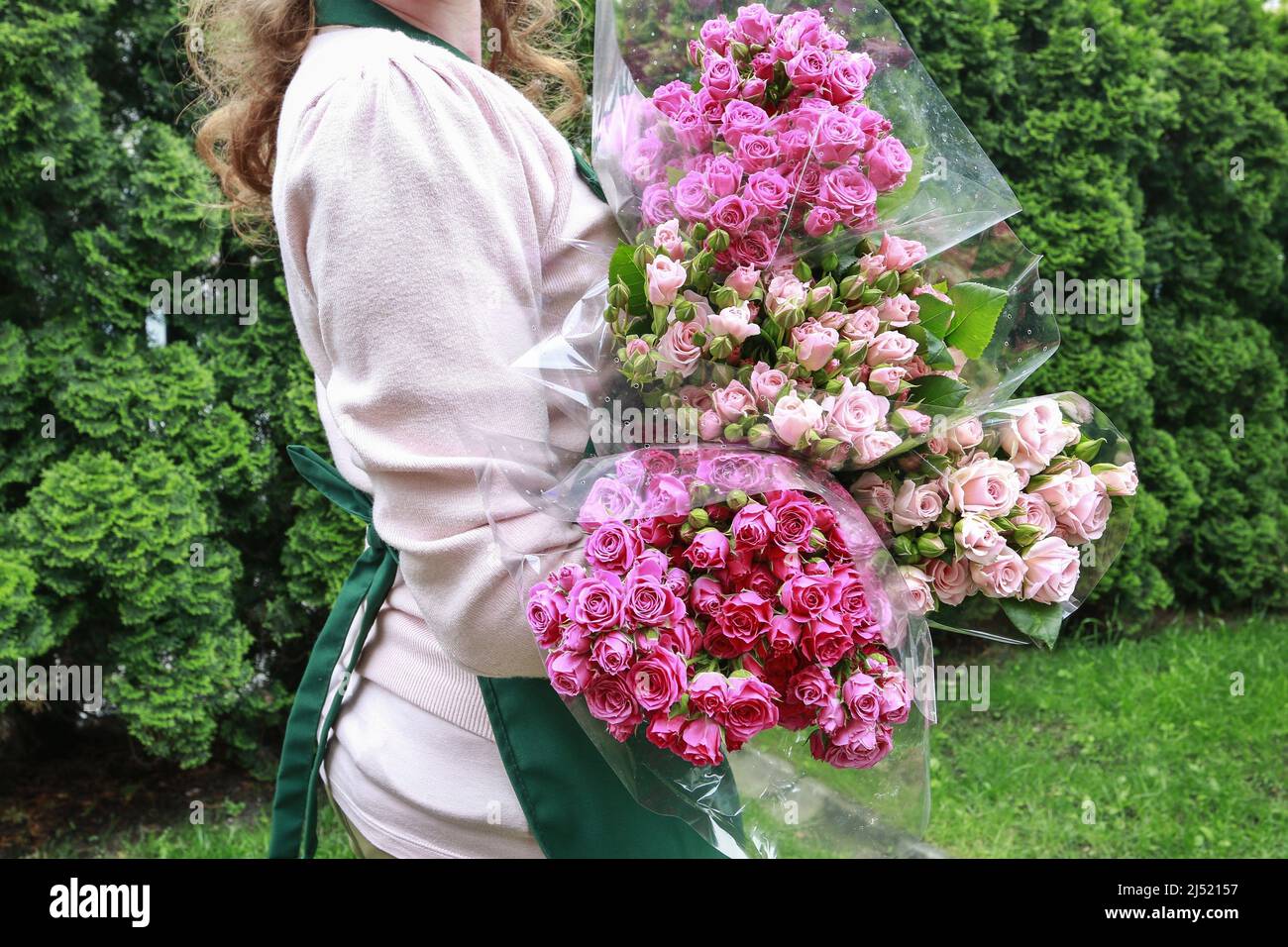 Woman florist holding big bunches of pink roses. Party decor Stock ...