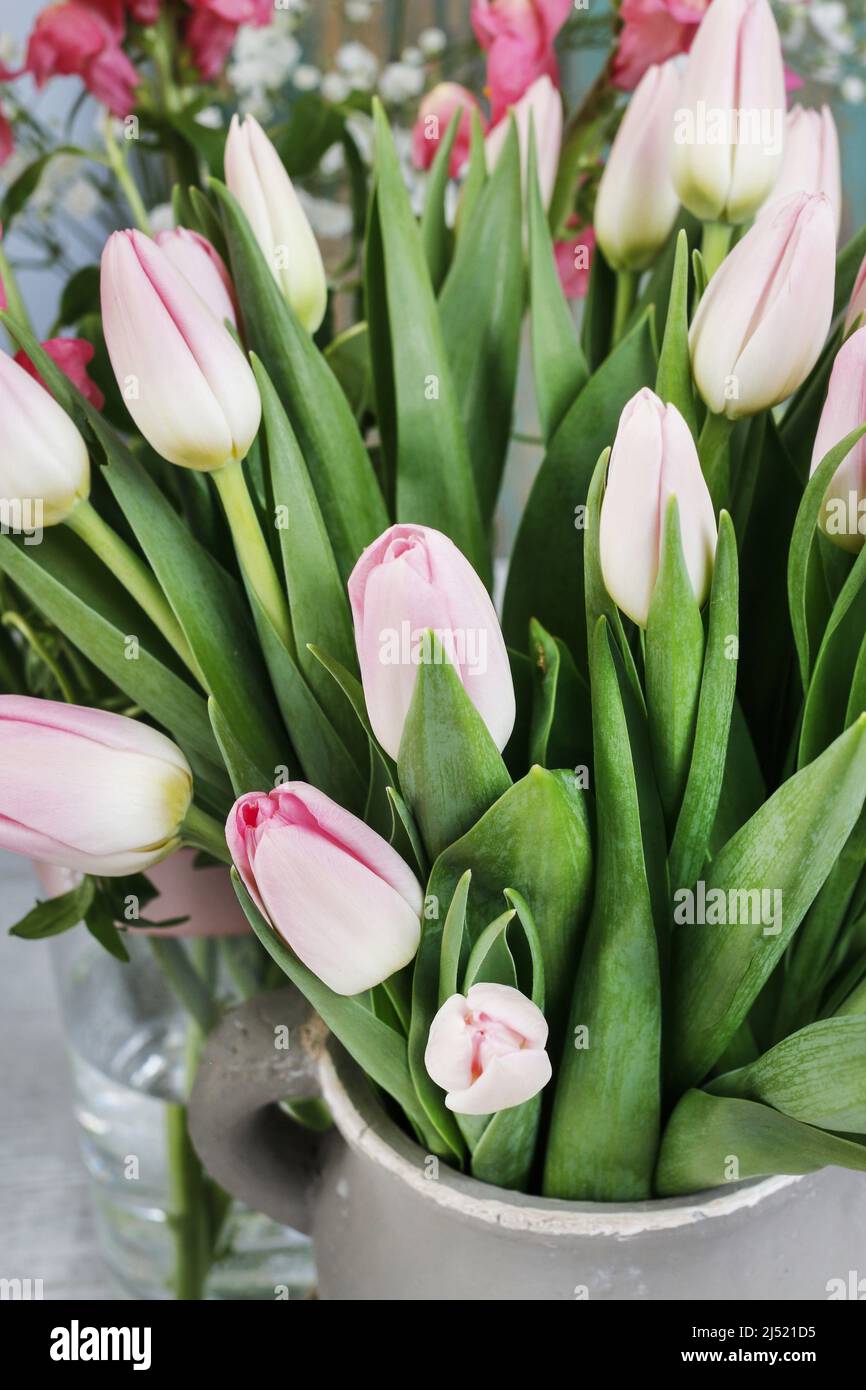 Pink tulips in ceramic vase. Spring decor Stock Photo Alamy
