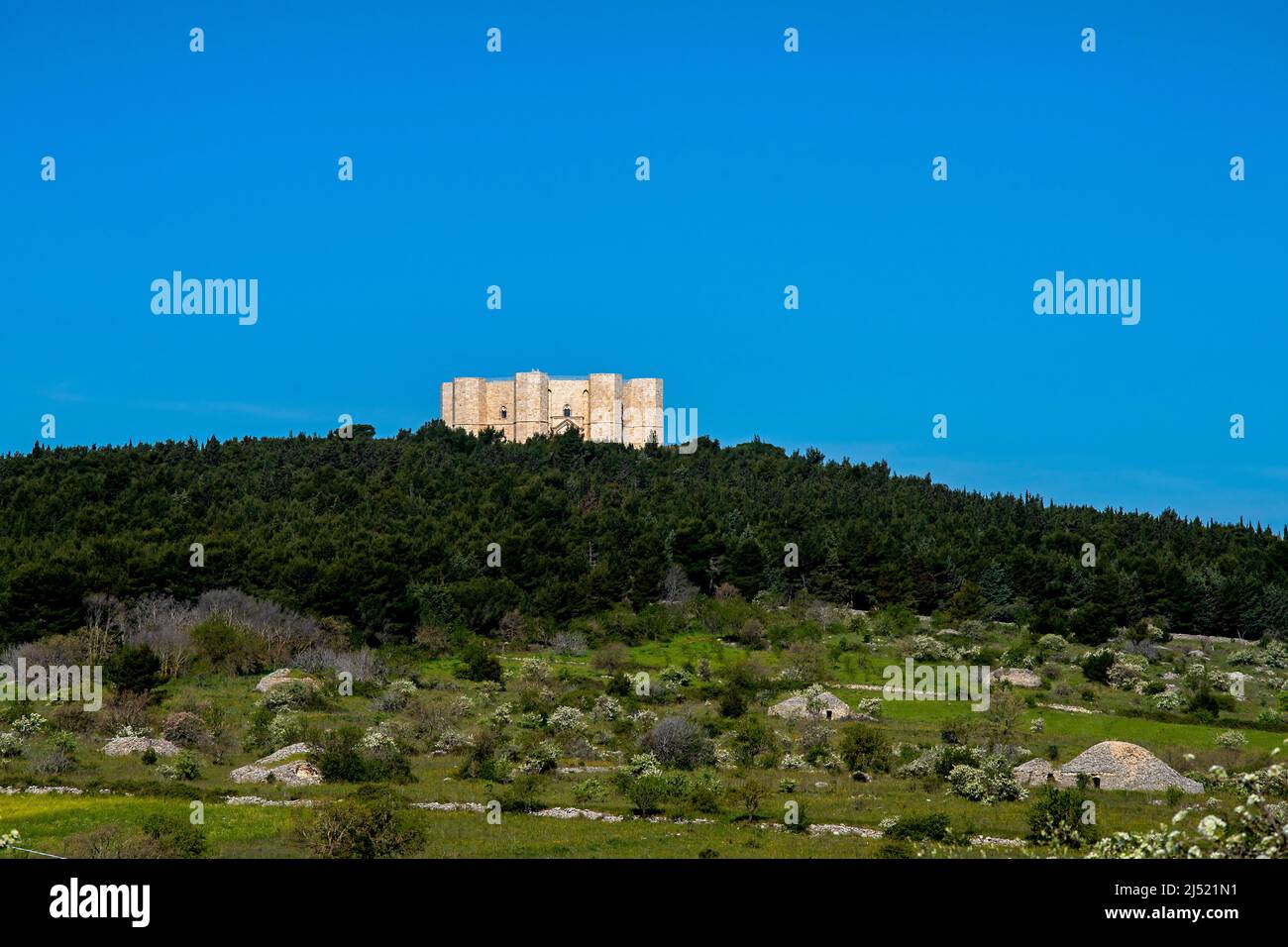 Castel del Monte is located on a hilltop in region of Apulia. South-eastern Italiy. Stock Photo