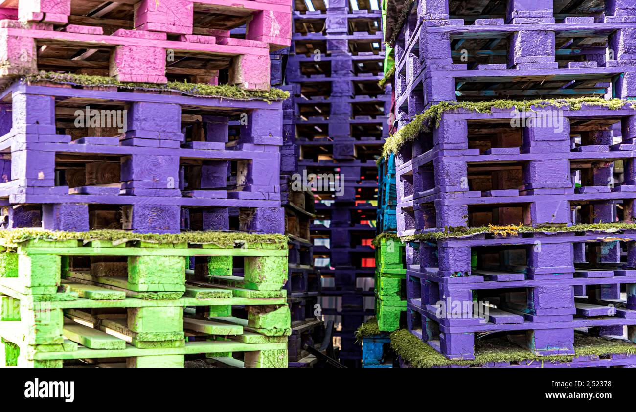 Pallets painted in various colours. Stock Photo