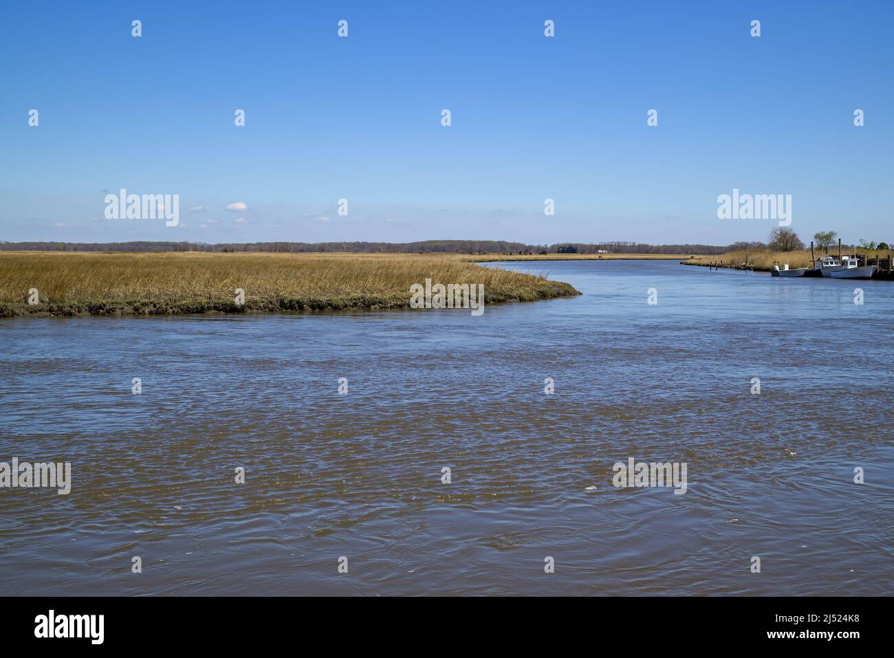 Tidal estuary flowing to the Delaware Bay. Also known as a coastal salt marsh or tidal marsh it is home to blue crabs Stock Photo