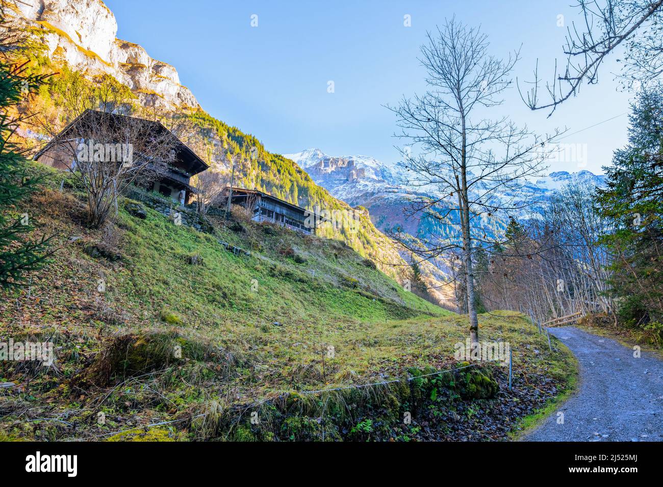 Lauterbrunen Valey and the path to the mountains in Stechelberg Stock Photo