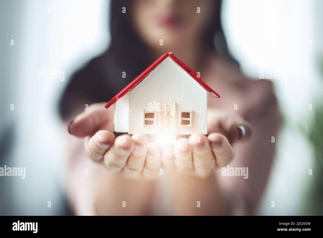 real estate agents, An employee of a real estate agent is presenting a