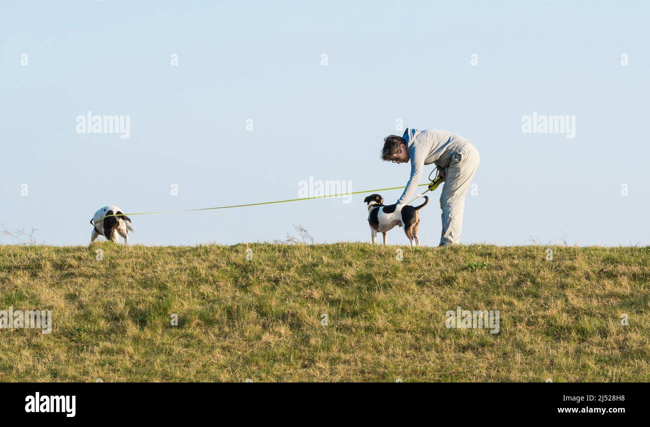 Young woman with two dogs hi-res stock photography and images - Alamy