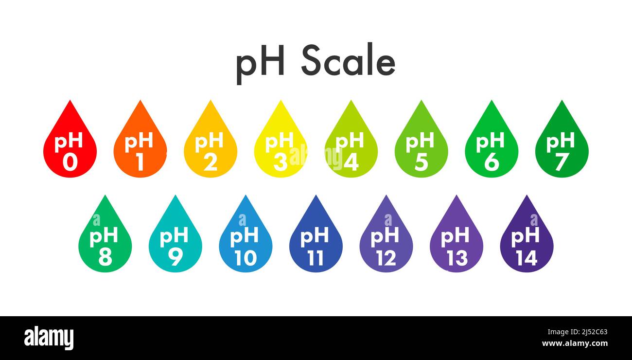 pH value scale meter. pH analysis chemical scale value test. Vector