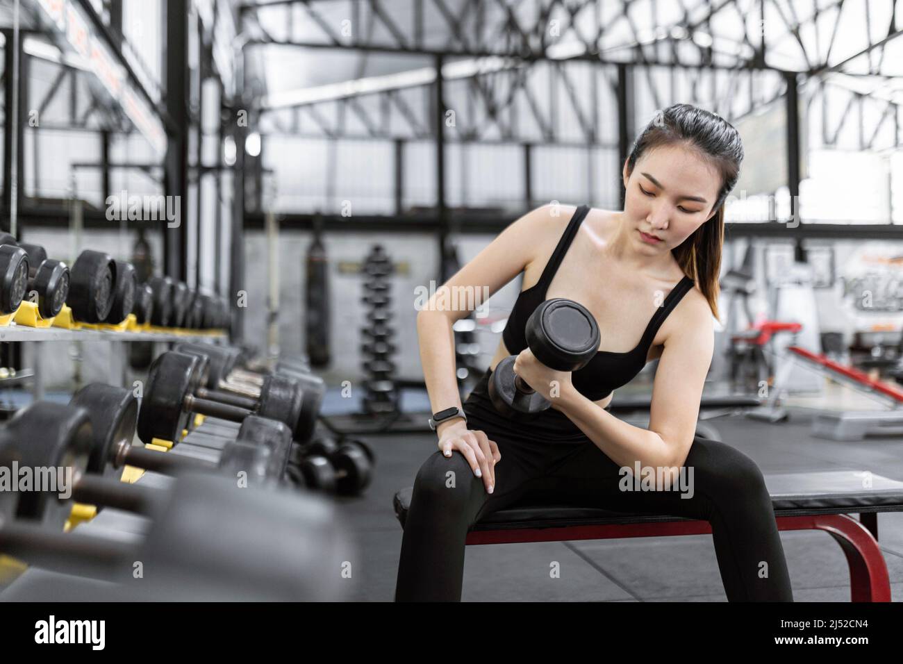 exercise concept The working out lady paying attention on carrying a dumbbell with her right hand while sitting on the bench earnestly. Stock Photo