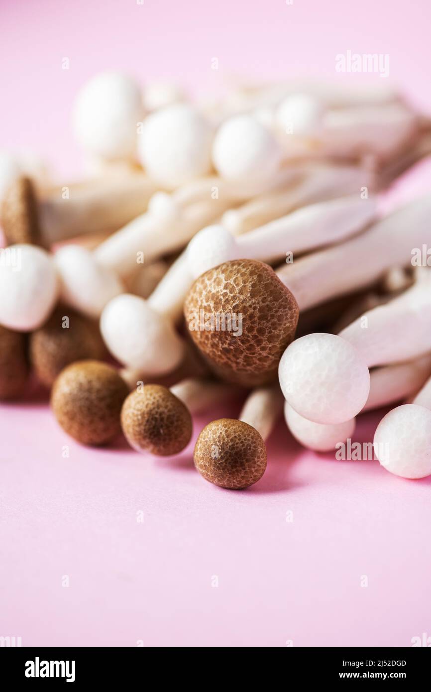 Fresh white and brown shimeji mushrooms. Close up, selective focus. Stock Photo