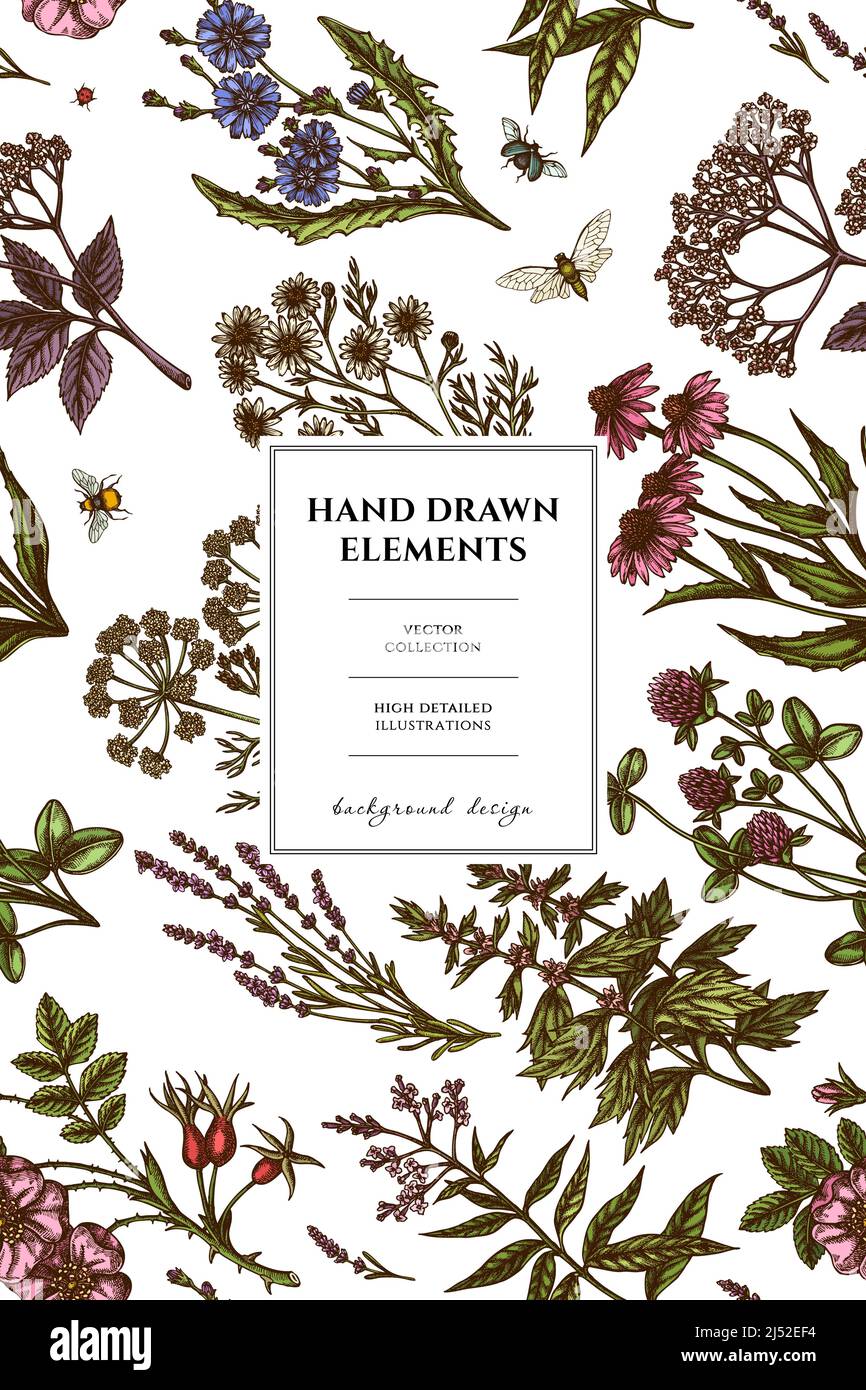 Tea herbs pattern card design. Hand drawn chamomile, chicory, cinnamon rose, etc. Stock Vector