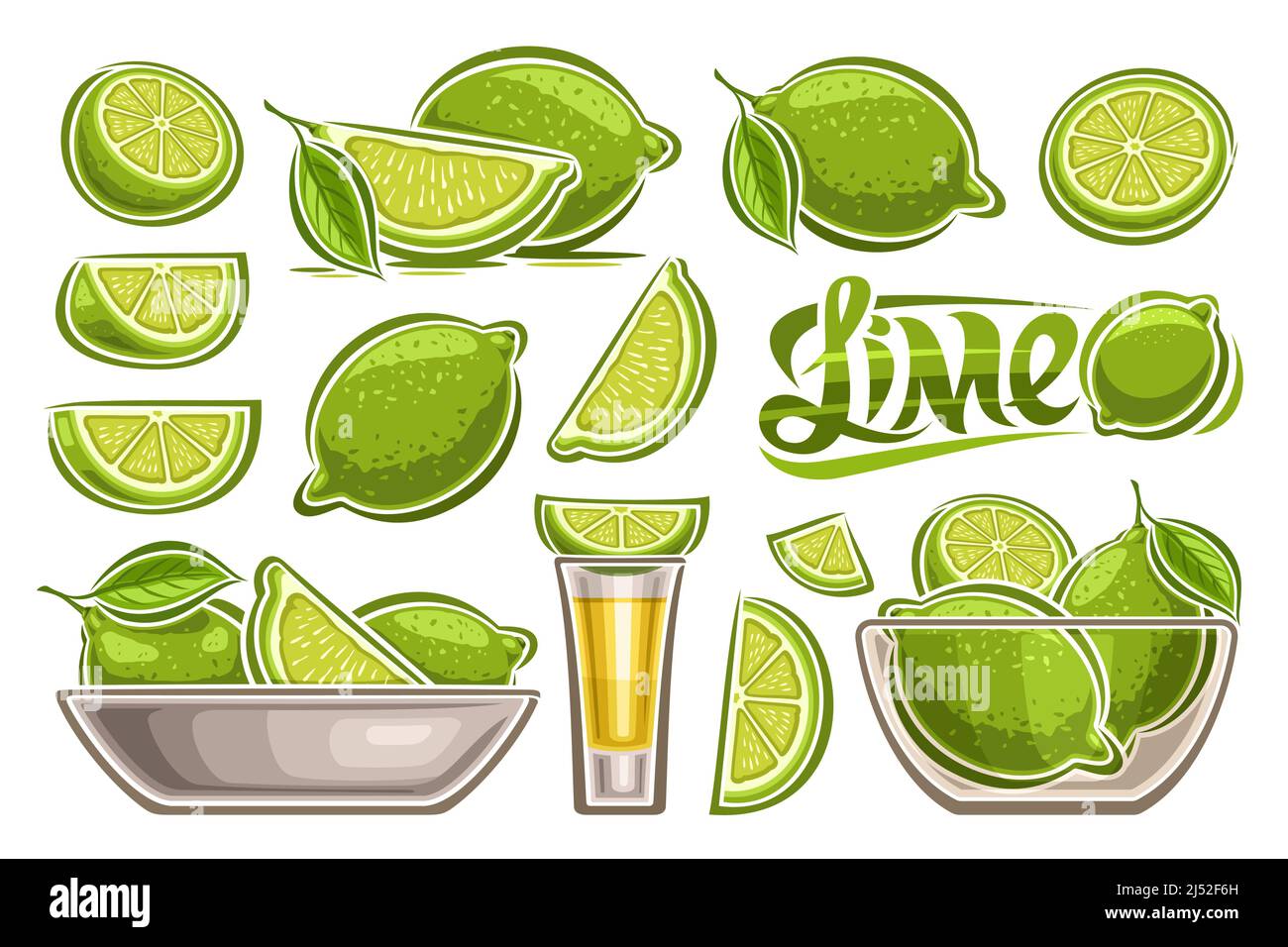 Limes cut in half Stock Vector Images Alamy