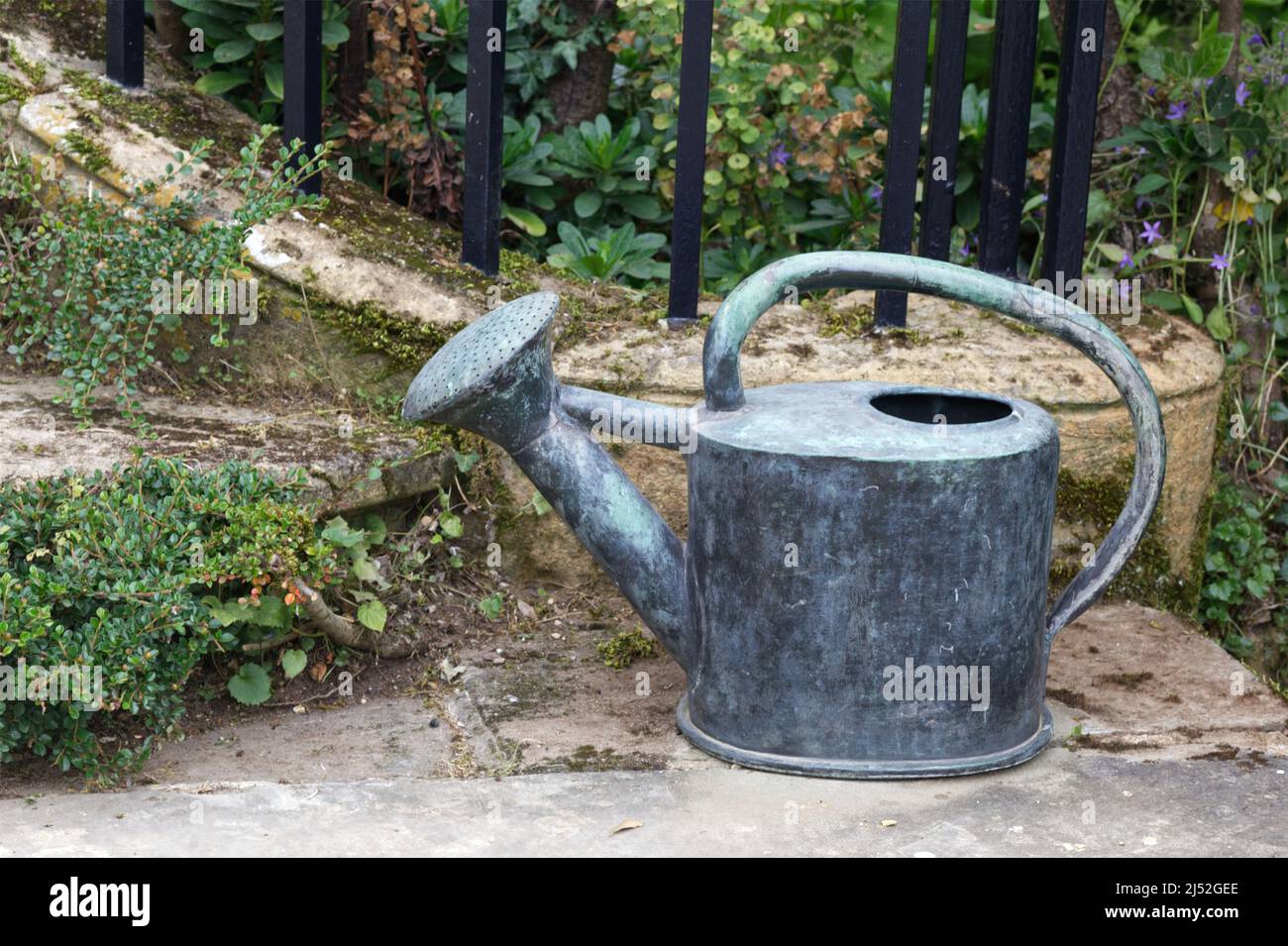 vintage metal watering can in the garden Stock Photo