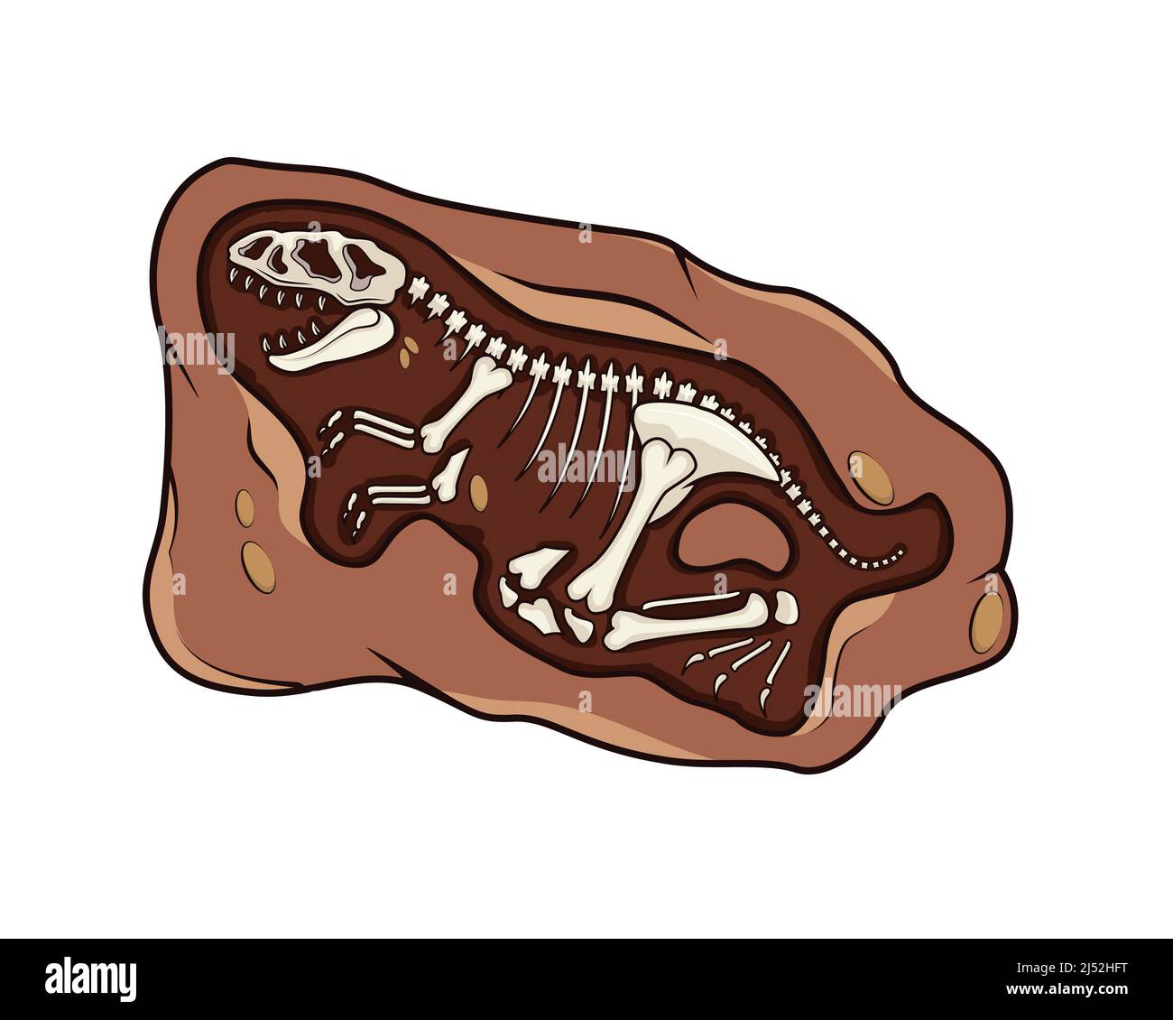 Detailed Dinosaur Fossil Illustration with Cartoon Style Vector Stock Vector