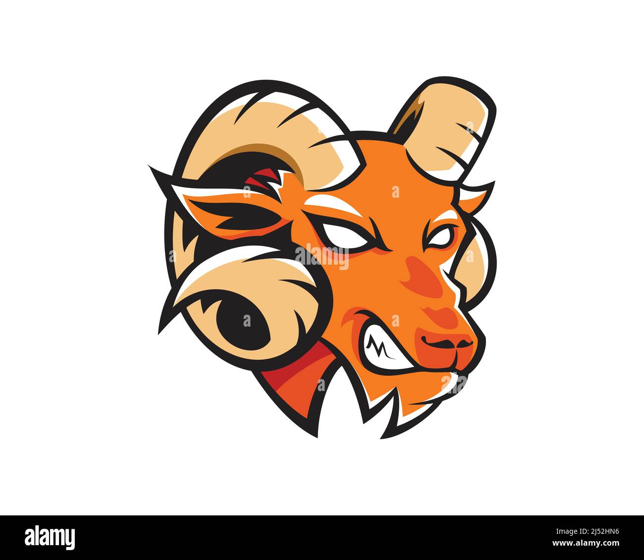 Angry Bighorn Goat or Mountain Goat Head Mascot and Illustration Vector Stock Vector