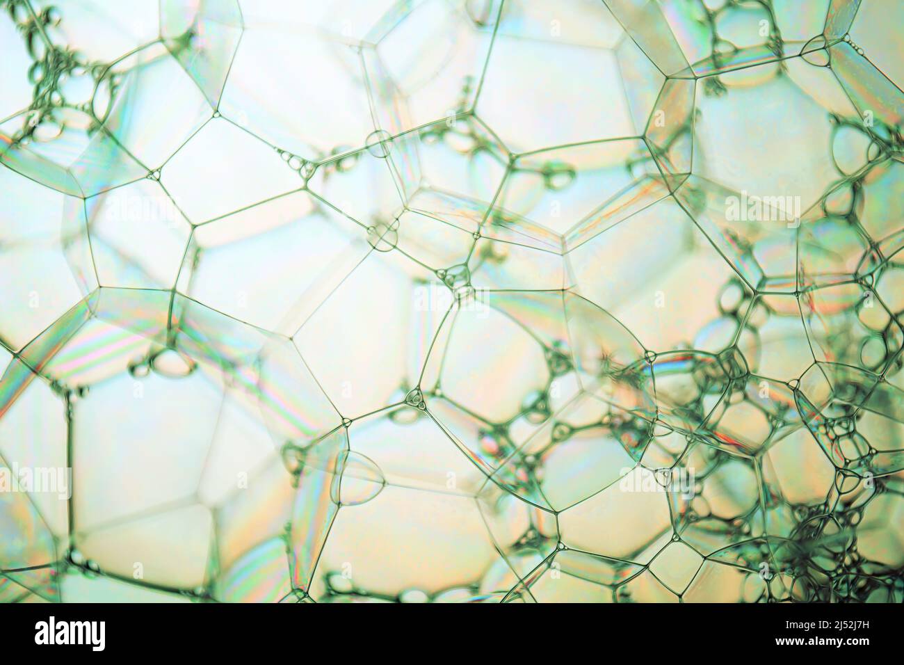 Abstract background and texture of white bubbles Stock Photo