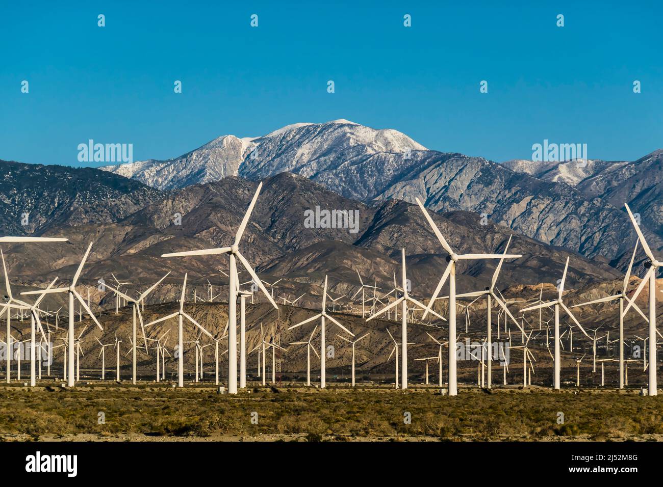 A large wind farm in Palm Springs, California Stock Photo