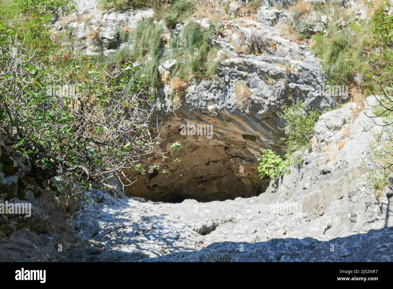 very rocky terrain with plants in summer Stock Photo - Alamy
