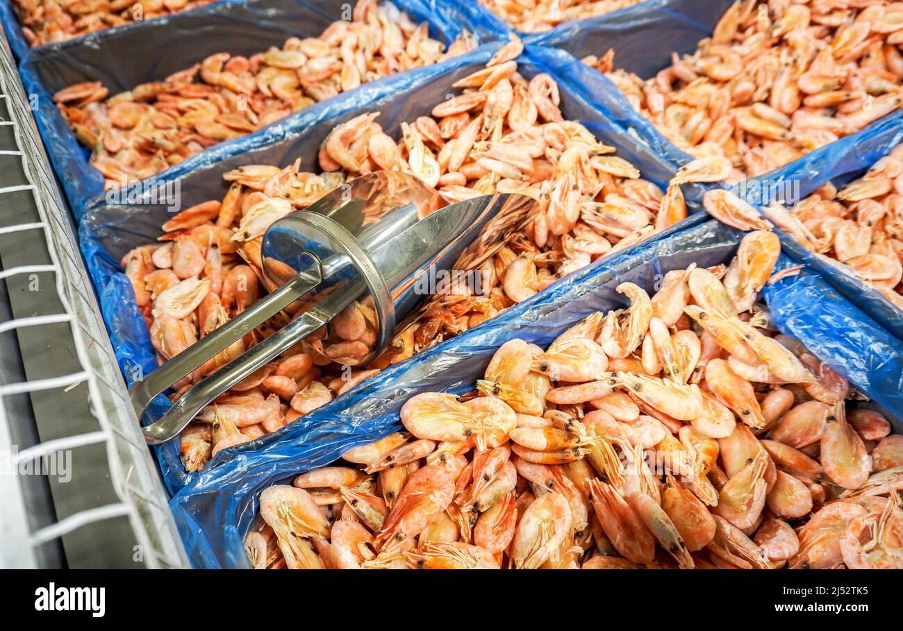 Selling frozen shrimp in the supermarket. Sale of seafood. Ecofriendly