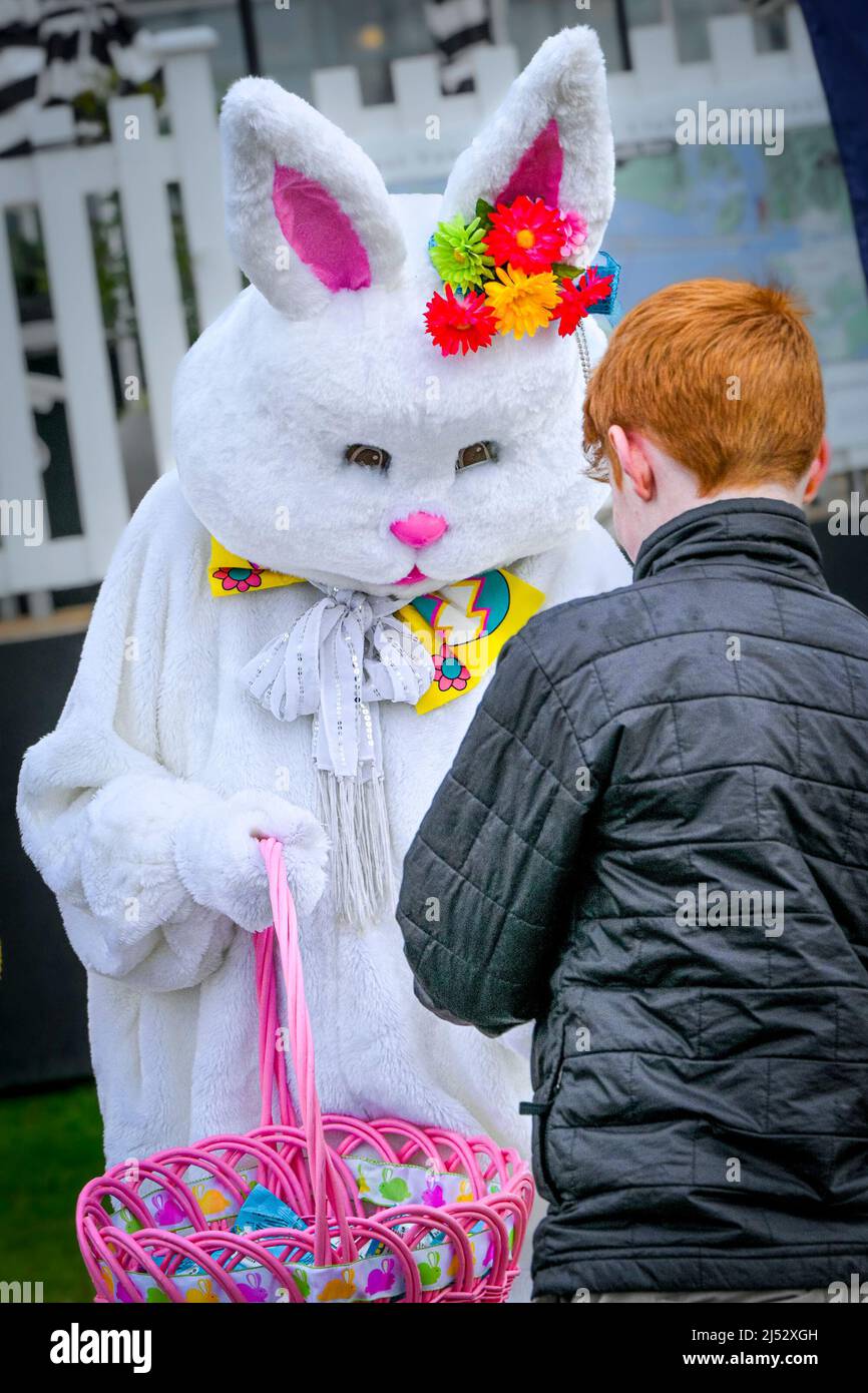 Easter Bunny, gives out chocolate treats from Easter basket, Stock Photo