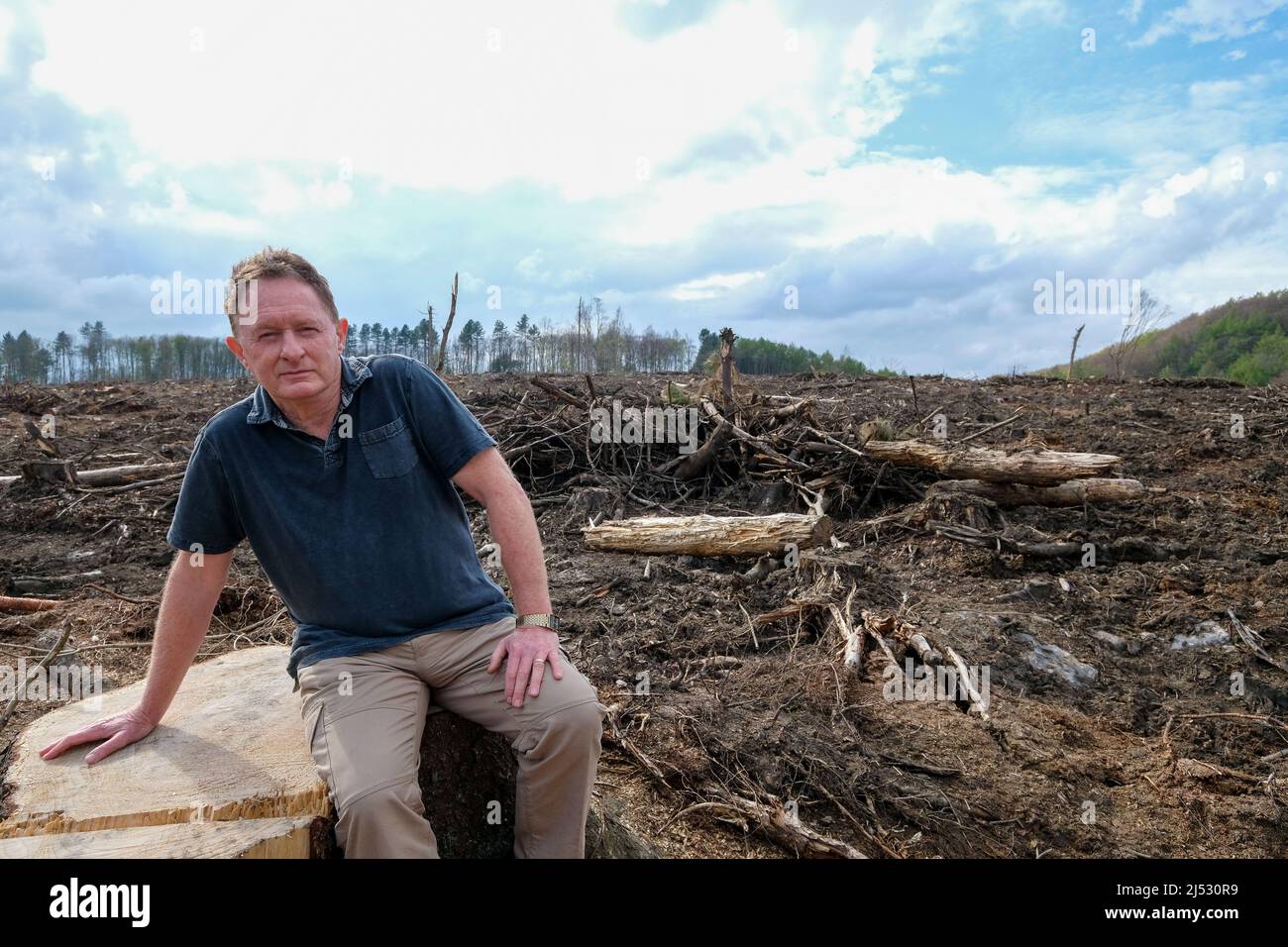 Dr Ian Rotherham at Rough Standhills Wood in Whirlow which has been devastated by forestry work Stock Photo