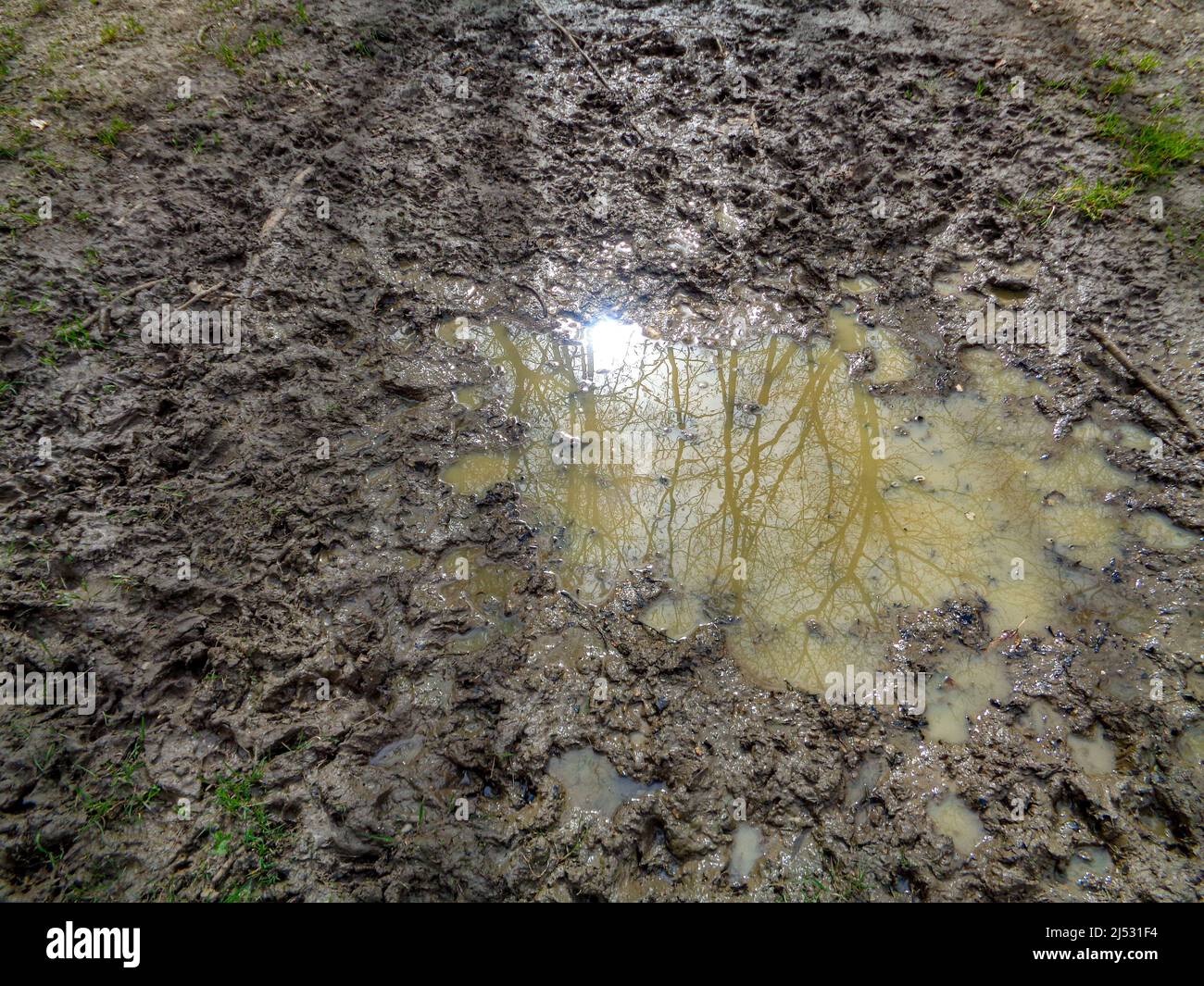 Environment, abstract after a shower of rain on wet soil Stock Photo