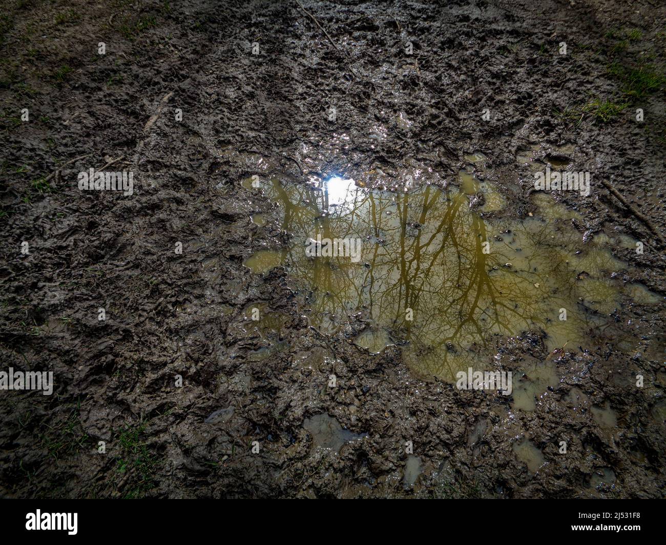 Environment, abstract after a shower of rain on wet soil Stock Photo