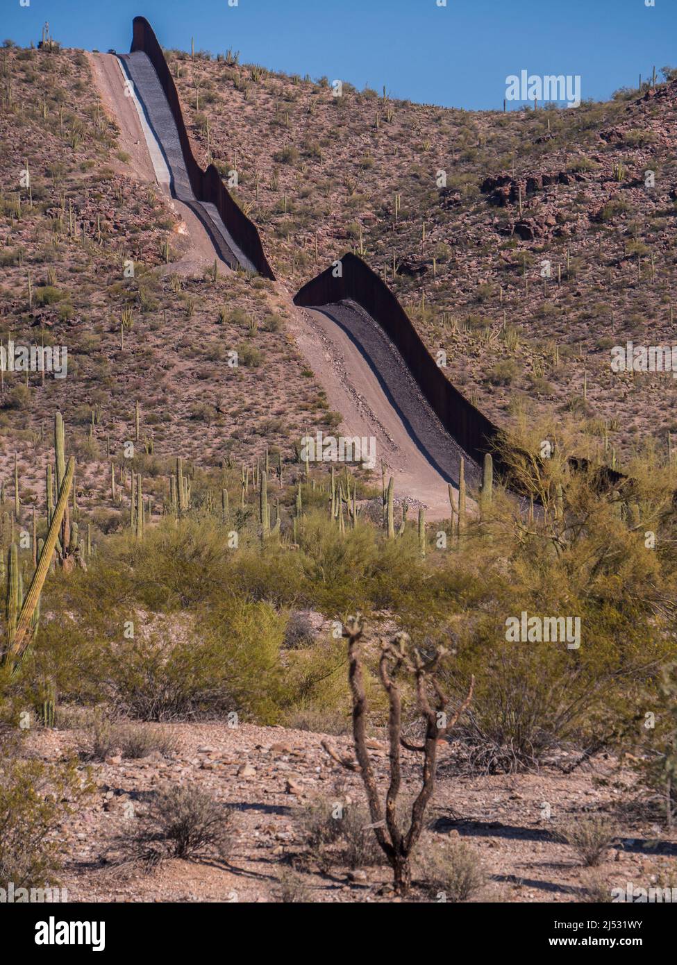 'The Wall,' South Puerto Blanco Drive, Organ Pipe Cactus National Monument, Arizona. Stock Photo