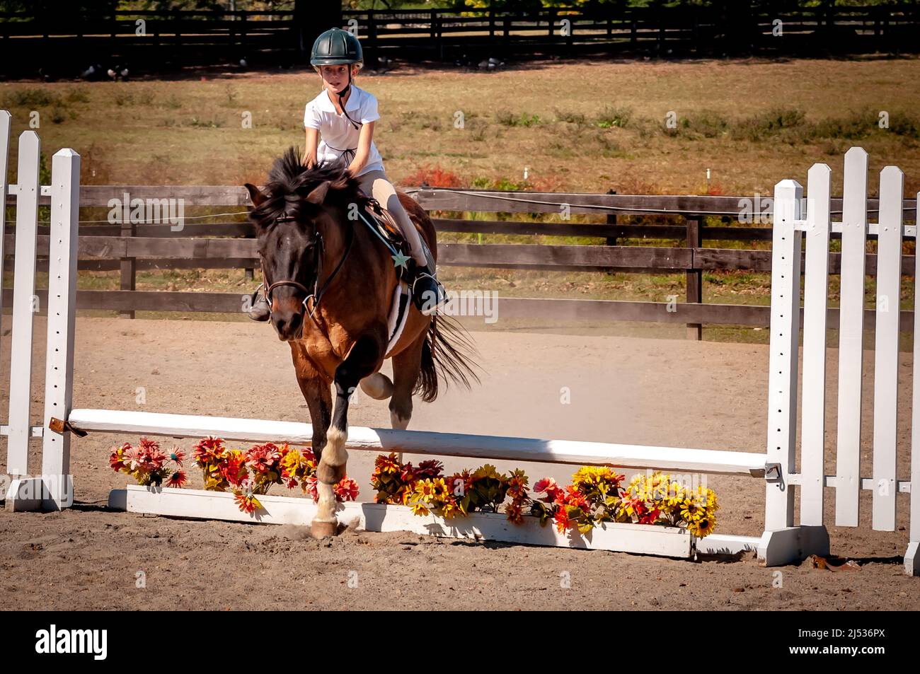 Young girl on horseback, riding and jumping in Virginia equestrian