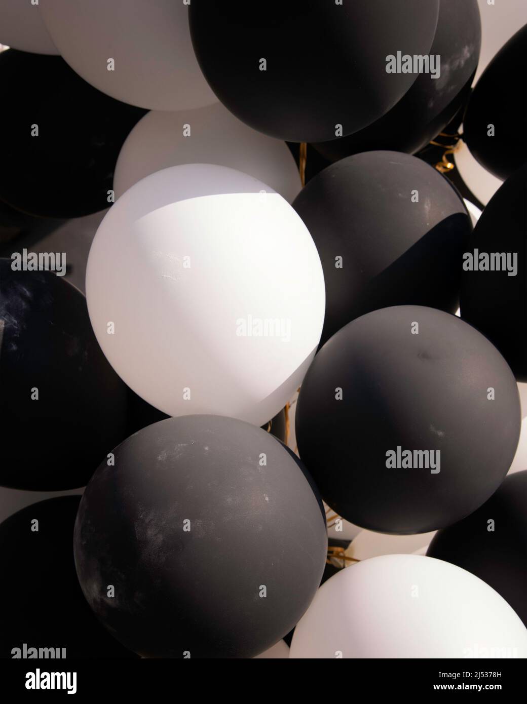 Close up of black and white balloons. Stock Photo