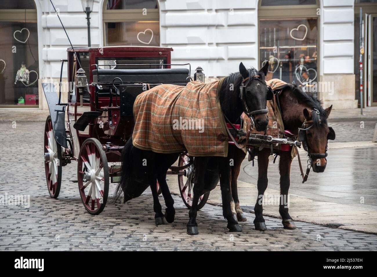 horsedrawn carriage Vienna , Austria Stock Photo