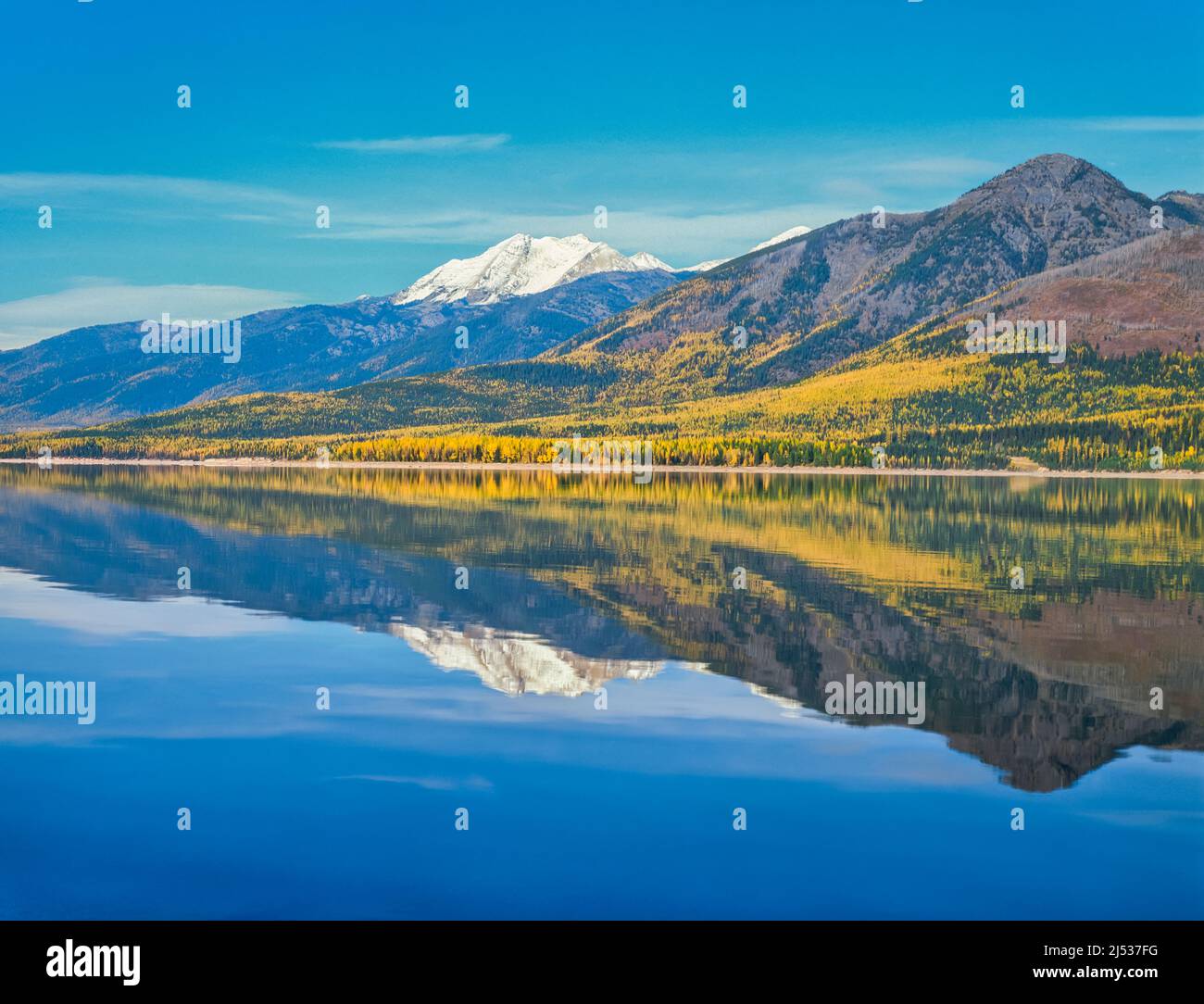 fall colors in the flathead range above hungry horse reservoir near