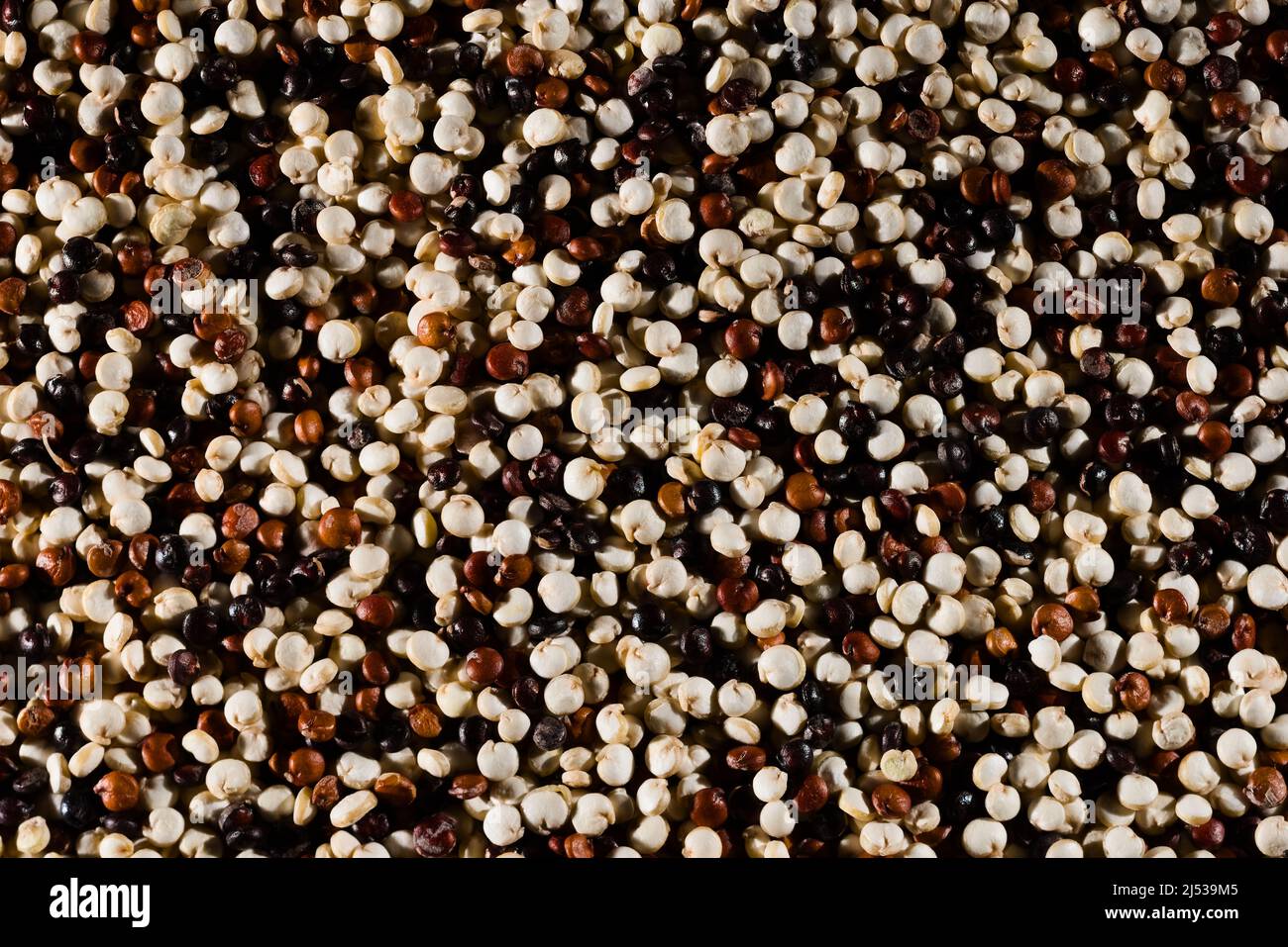 Quinoa seed tricolor, white red black chenopodium quinoa seeds Stock Photo